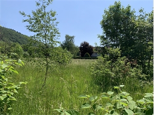 terrain à la vente -   70290  PLANCHER BAS, surface 1142 m2 vente terrain - UBI462237275